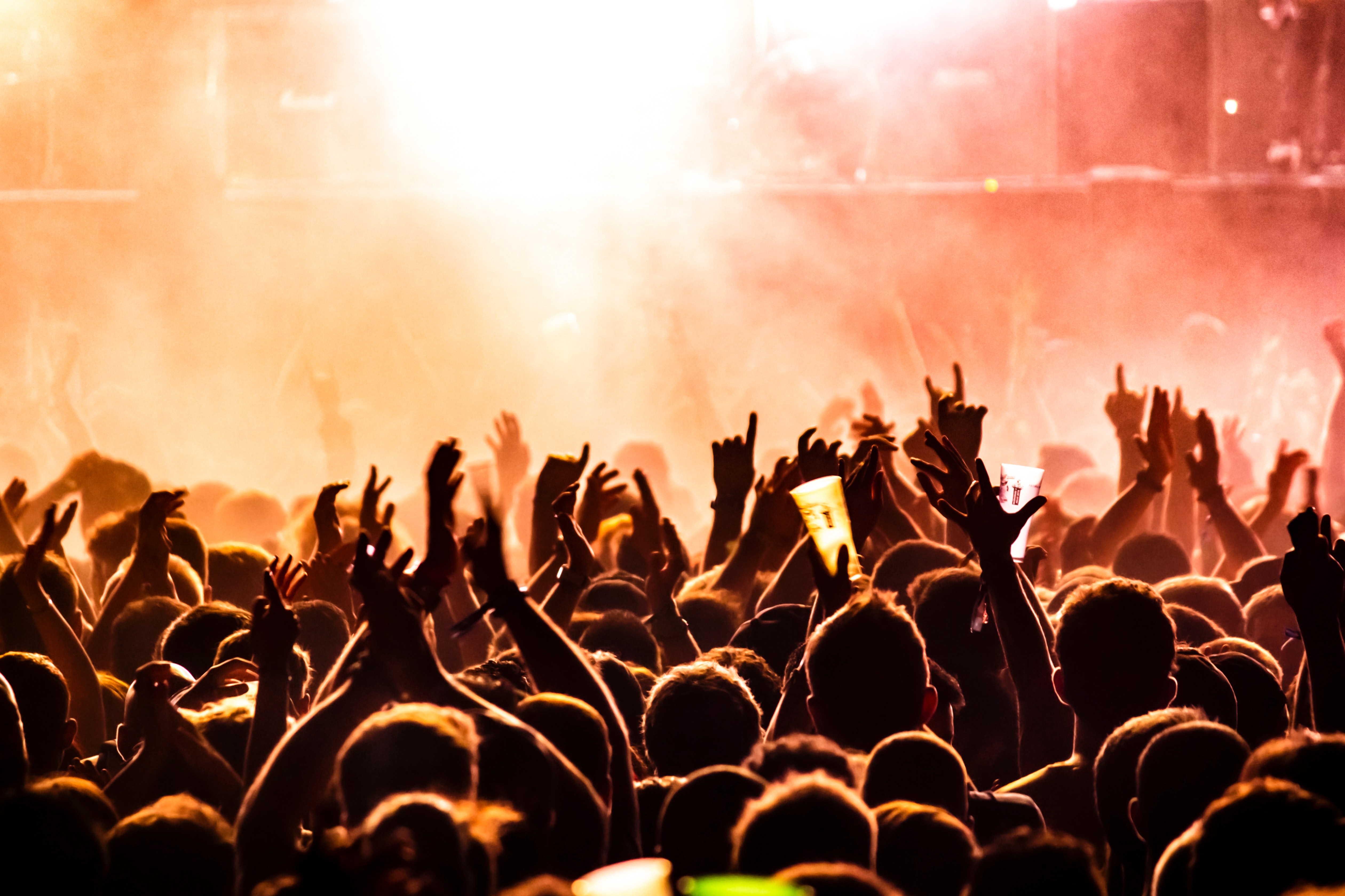 audience cheering at a concert